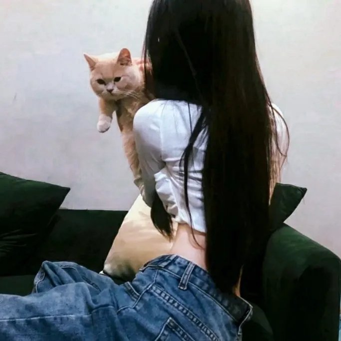 船长的魔法钻石